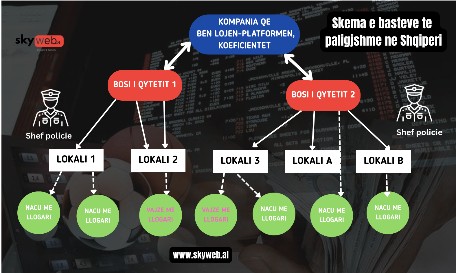 Skema se si funksionojne bastet sportive ne Shqiperi 